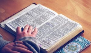 Clasificación de los Libros del Nuevo Testamento 