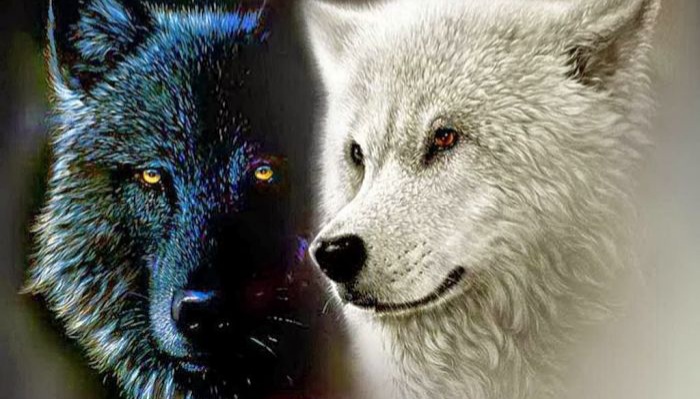 Parábola de los Dos Lobos